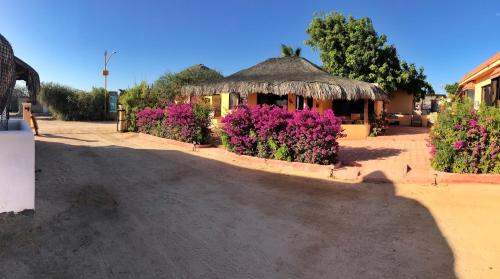 Bungalows Cabo Pulmo