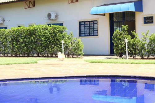 a cat sitting in front of a house at Grandes Lagos Park Hotel in Jales