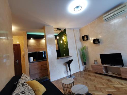 Una sala de estar con un sofá y un televisor de pantalla plana. en Centar Stan na dan sa besplatnim parkingom, en Novi Sad