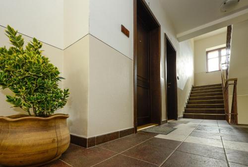 a hallway with a potted plant and stairs at Apartmány Na Seníku in Třeboň
