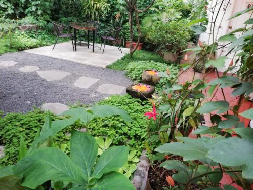 Taman di luar Cinco Hotel B&B