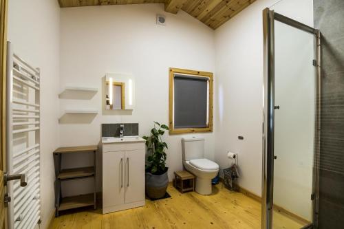 y baño con aseo, lavabo y espejo. en Fern Lodge - 2 Bedroom Log Cabin - Saint Florence - Tenby en Saint Florence