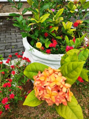 Taman di luar Kanasuk Self catering Apartments