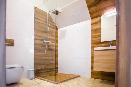 a bathroom with a shower and a toilet at Penzion a Restaurace v Zátiší in Horní Lhota