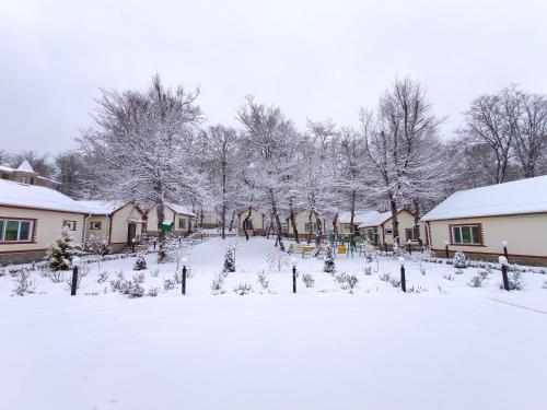a yard covered in snow with trees and houses at Selena in Qusar