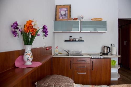 kuchnia z wazonem kwiatów na ladzie w obiekcie Apartament dwuosobowy203, 310,410, w mieście Krynica Zdrój