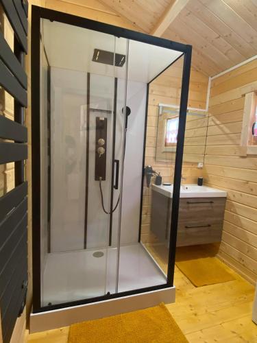 une douche en verre dans une salle de bain avec un lavabo dans l'établissement Les Chalets Du Marais, à Saint-Pierre-Aigle