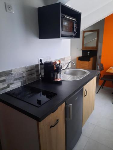 une cuisine avec un évier et un plan de travail dans l'établissement Résidence L'art Doise, à Rochefort