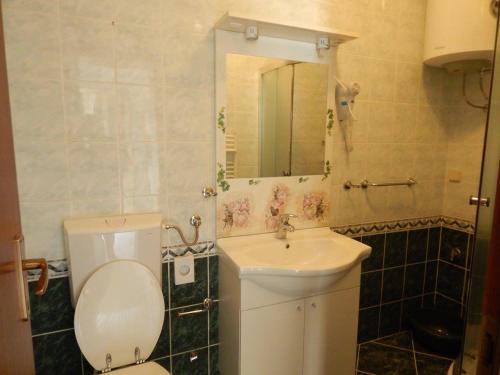 a bathroom with a toilet and a sink and a mirror at Apartments Lavanda 1 in Njivice