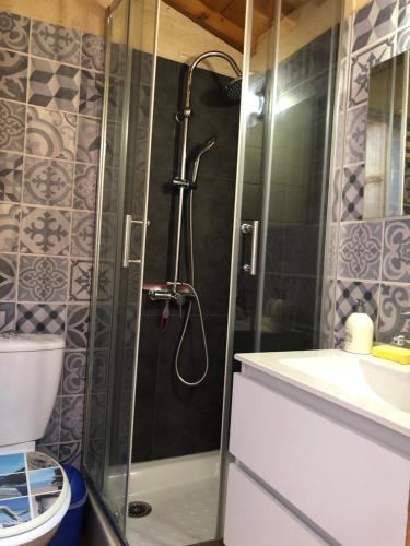 une salle de bain avec une douche, des toilettes et un lavabo dans l'établissement Studio Duplex, à La Teste-de-Buch