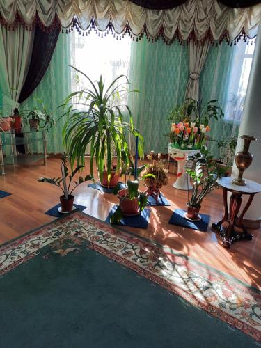 a room filled with potted plants on a wooden floor at Hotel ВаYan in Shymkent