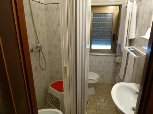 a bathroom with a shower and a toilet and a sink at Hotel Beau Séjour in Aosta