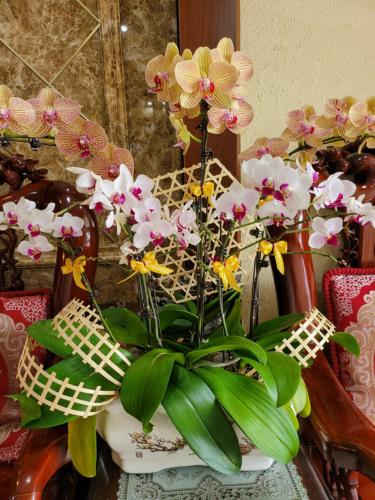 a white vase filled with flowers on a table at Hồ Tây Hotel in Thu Dau Mot