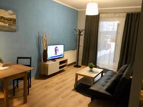 een woonkamer met een bank en een televisie bij Holdek Apartamenty Francuska in Katowice