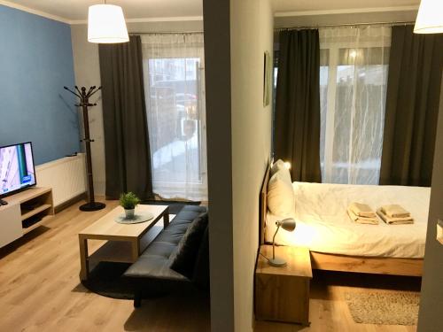 een woonkamer met een bed, een bank en een televisie bij Holdek Apartamenty Francuska in Katowice