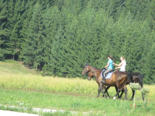 deux femmes à cheval dans un champ dans l'établissement Bärenhof, à Tirschenreuth
