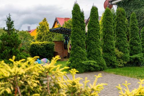 a garden with trees and a house at Villa Baltic Apartament nr 3 in Chałupy