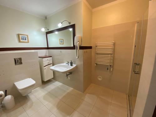 a bathroom with a toilet and a sink and a shower at Villa Baltic Apartament nr 3 in Chałupy
