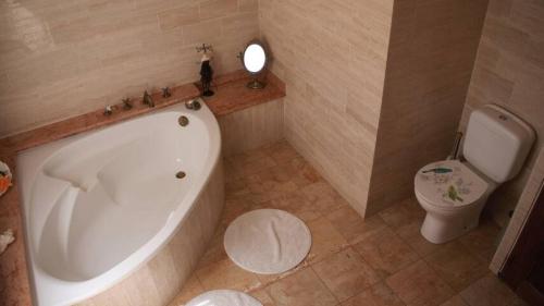 une salle de bain avec baignoire et toilettes dans l'établissement Maison de famille au coeur du Luberon, à Mérindol