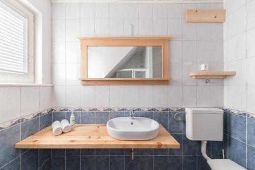 a bathroom with a sink and a mirror at Old Mill House in Bohinj