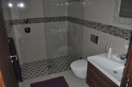 a bathroom with a shower and a toilet and a sink at A Perfect Self Catering in Wellington