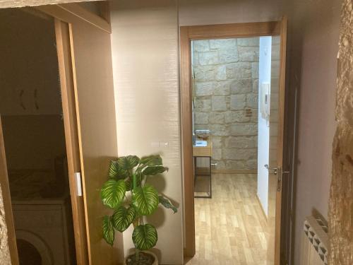 Gallery image of Apartamento S-XVIII la RANITA SALMANTINA in Salamanca