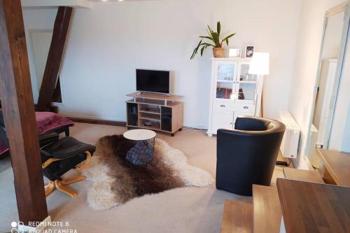 a living room with a couch and a tv and a rug at Studiowohnung in Bergen/Bleckmar in Bergen