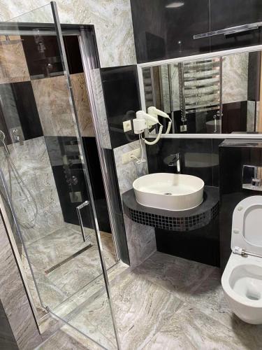a bathroom with a toilet and a sink and a shower at Vershyna in Pilipets