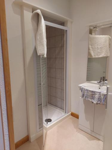 a shower with a glass door next to a sink at Chez sylvie in Morez