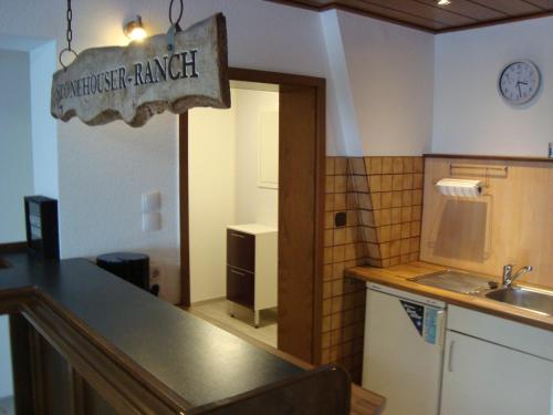 a kitchen with a counter top and a sink at Trothaer Eck in Kröllwitz