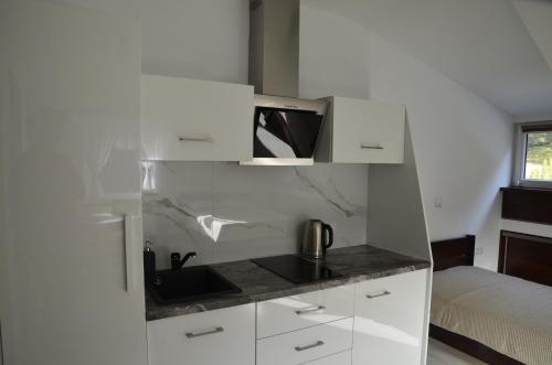 Dapur atau dapur kecil di Wypoczynek Pod Lasem