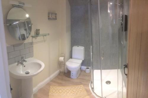 uma casa de banho com um WC, um lavatório e um chuveiro em YETHOLM BOTHY em Town Yetholm
