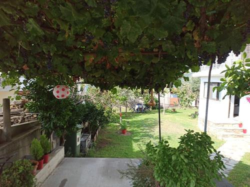 a garden with a ladybug sign on a tree at Dora's House comfortable apartment with a yard and view in Pyrgadikia