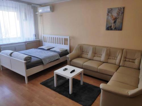 ein Wohnzimmer mit einem Bett und einem Sofa in der Unterkunft Kölcsey Apartman in Szekszárd