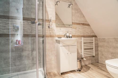 La salle de bains est pourvue d'une douche, de toilettes et d'un lavabo. dans l'établissement Pokoje Gościnne Stara Strzecha, à Zakopane
