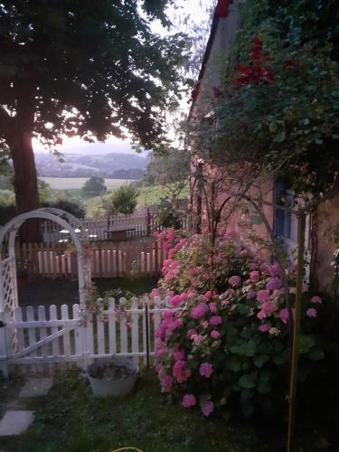 Gîte Le Marronnierにある庭