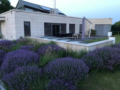 Luxury Villa Emilly - pool, sauna and jacuzzi