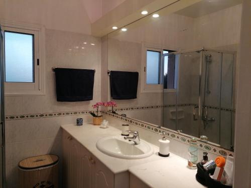 a bathroom with a sink and a shower at Paradise Gardens II Anastasia Apartment in Paphos