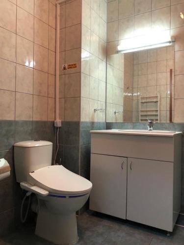 a bathroom with a toilet and a sink and a mirror at Flora Apartment 612A in Borovets