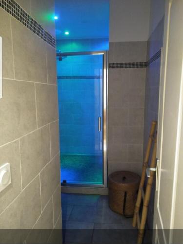 une douche avec une porte vitrée dans une salle de bain dans l'établissement COULEURS DES ILES , Fréjus-plage, à Fréjus