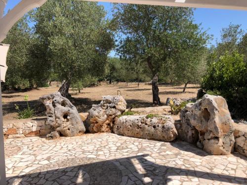 a group of rocks sitting in a yard with trees at Trullo Tita in Monopoli