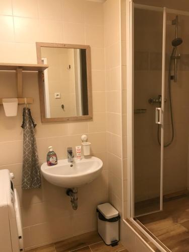 Koupelna v ubytování Apartmán Orlické Záhoří