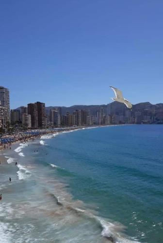 SAN REMO Levante beach apartments photo 50