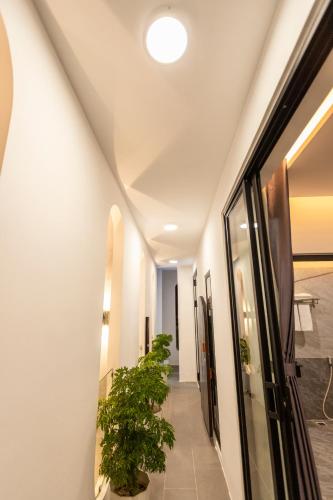 a hallway with a potted plant in a building at Nile Hotel Phu Yen in Tuy Hoa