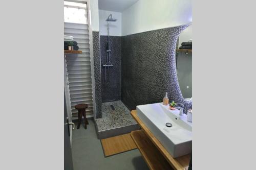 La salle de bains est pourvue d'un lavabo blanc et d'une douche. dans l'établissement Jadessie ( Centre ville /Downtown ), à Pointe-à-Pitre