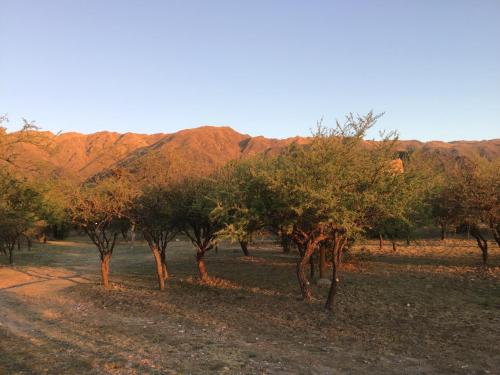 Cabañas Chacras del Arroyo Vidal – Photos 2