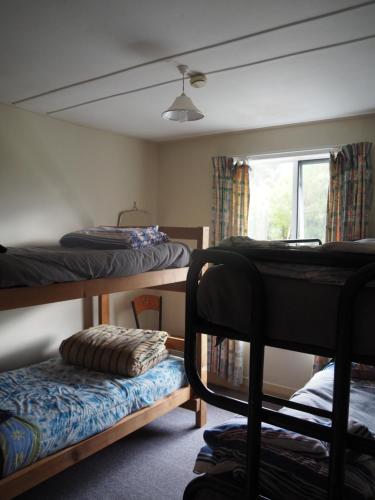 a room with two bunk beds and a window at Berlins cafe, bar and backpackers in Newton Flat