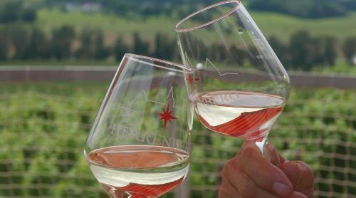 a person holding up a glass of wine at Pension Bella Vista - Winzerhof Golk in Meißen