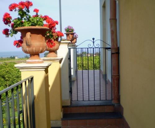 a balcony with two flower pots on a fence at Torre Archirafi Resort in Riposto