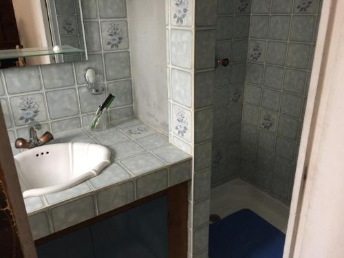 bagno con lavandino e doccia di Maison calme a Beaumes-de-Venise